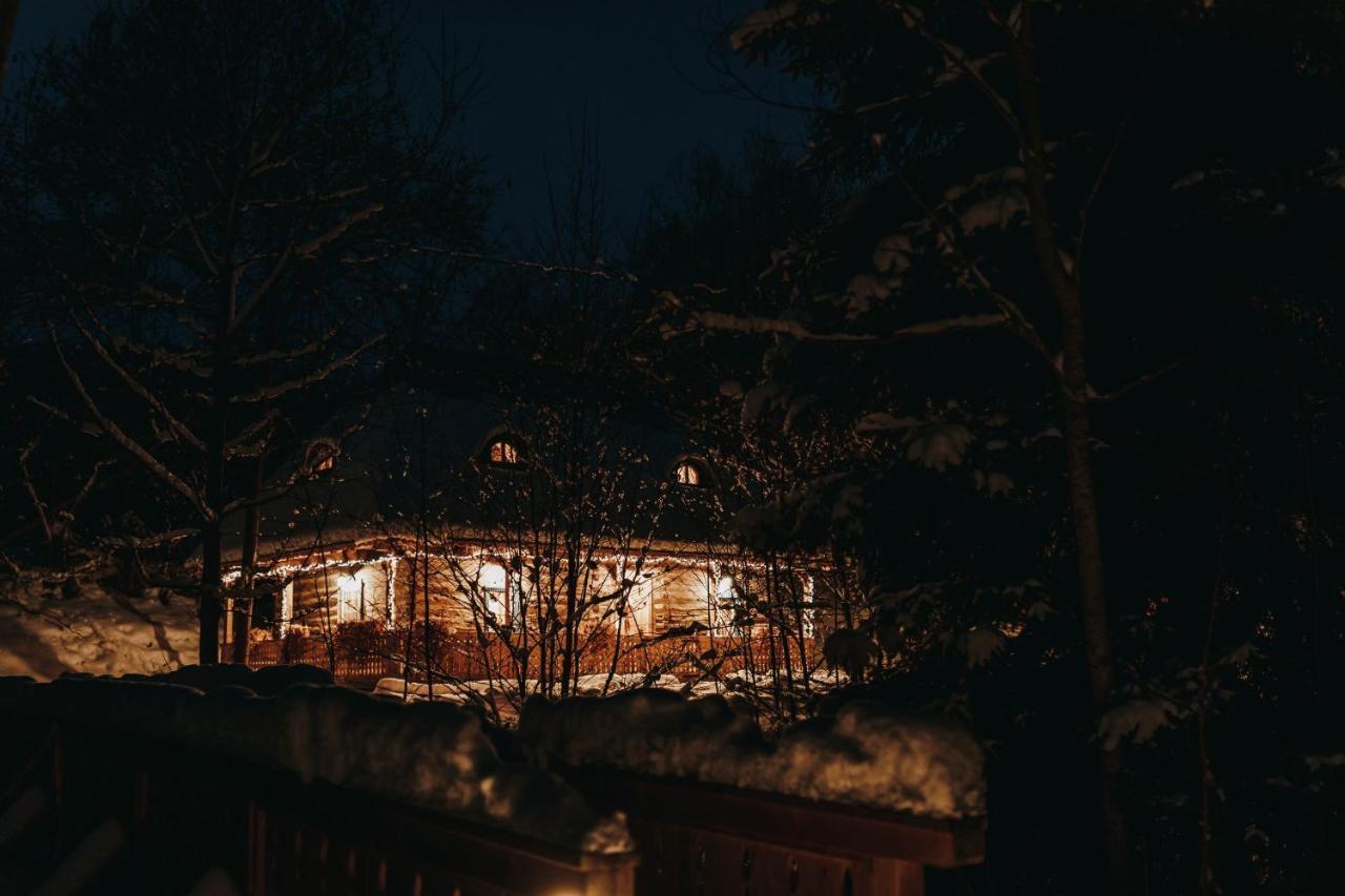 Villa Casa lu' Ion Vişeu de Sus Exterior foto