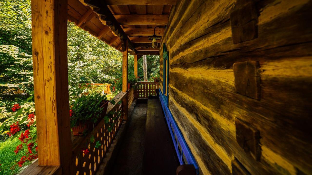 Villa Casa lu' Ion Vişeu de Sus Exterior foto