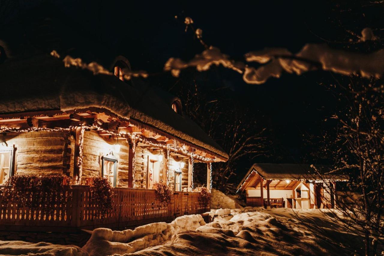 Villa Casa lu' Ion Vişeu de Sus Exterior foto
