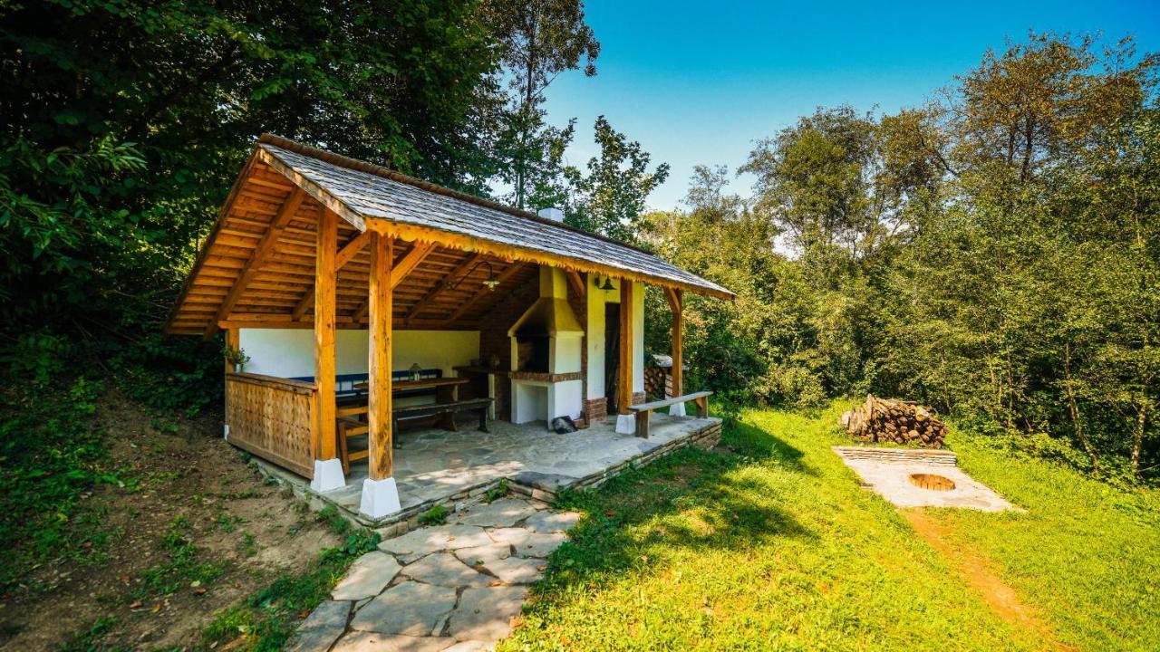 Villa Casa lu' Ion Vişeu de Sus Exterior foto