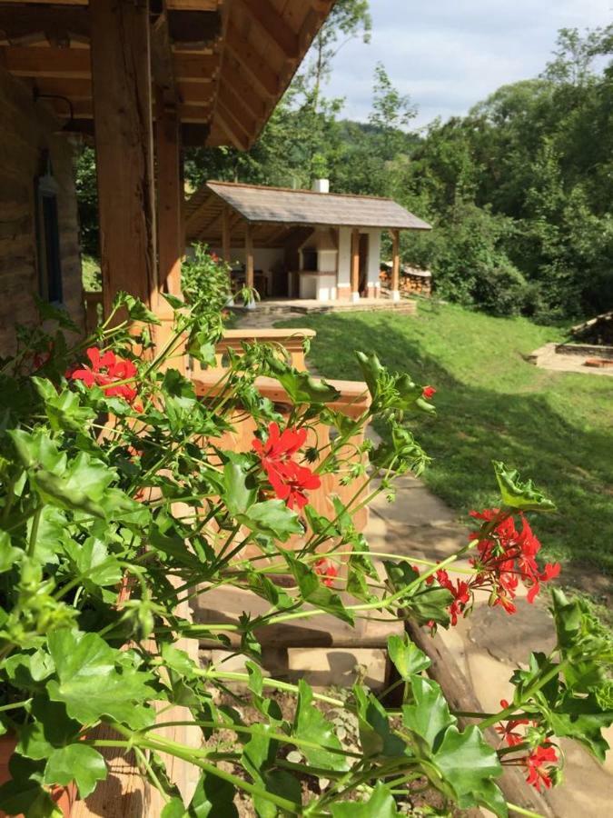 Villa Casa lu' Ion Vişeu de Sus Exterior foto