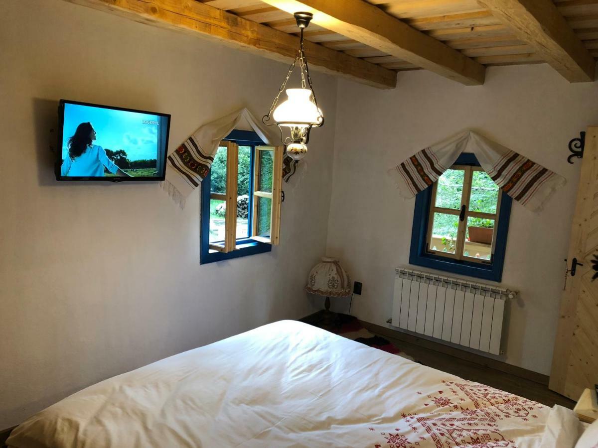 Villa Casa lu' Ion Vişeu de Sus Exterior foto